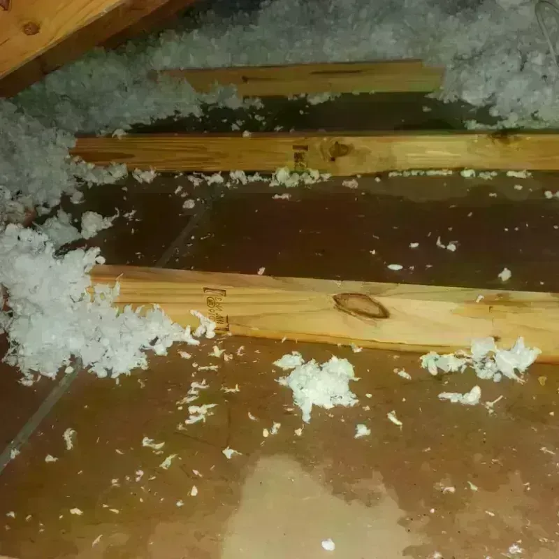 Attic Water Damage in Montgomery, IL