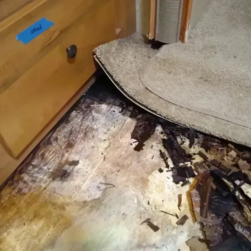 Best Wood Floor Water Damage Service in Montgomery, IL